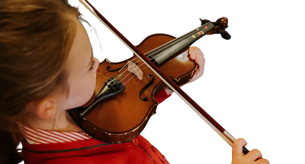  OptimizedImage,Optimized