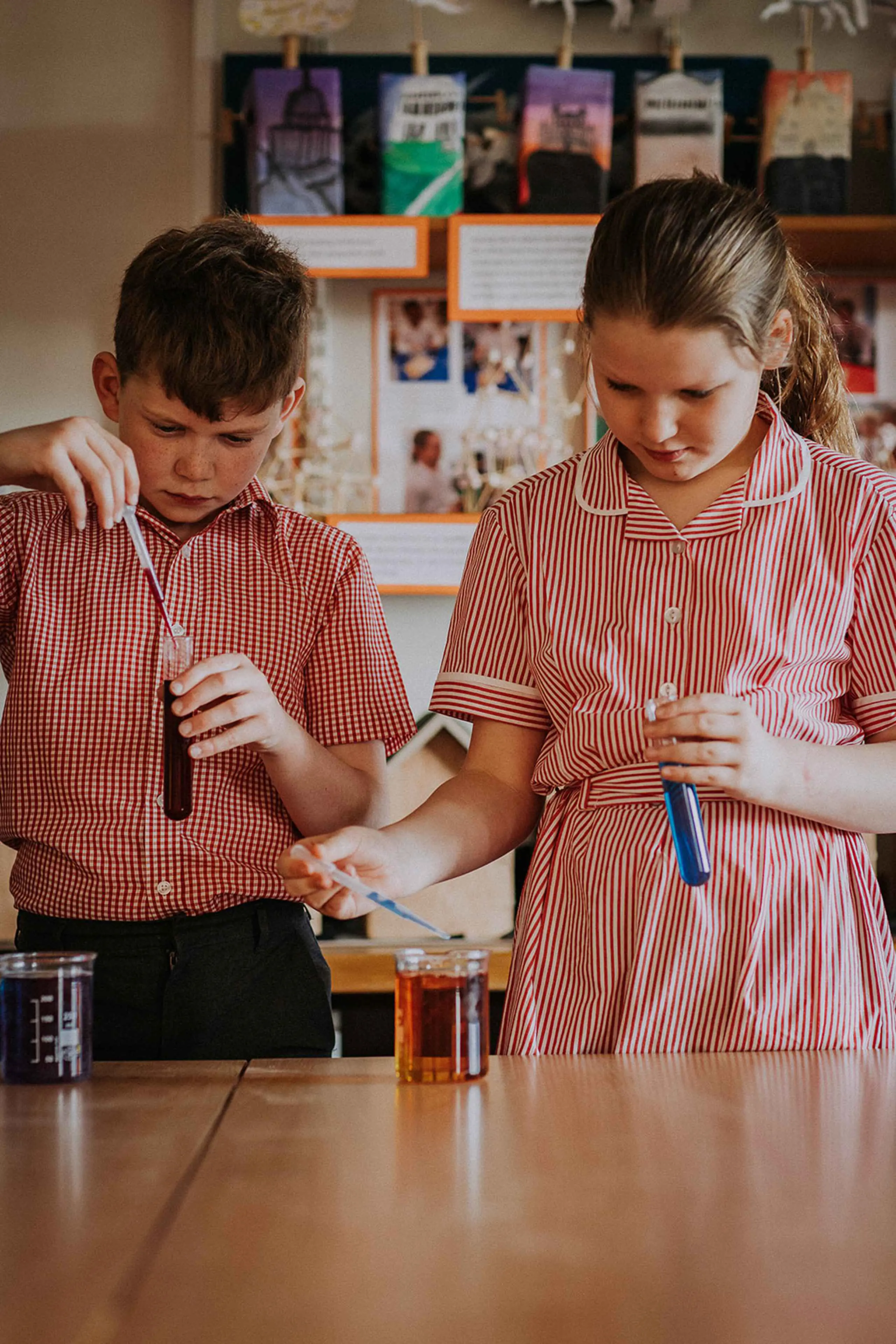  OptimizedImage,Optimized