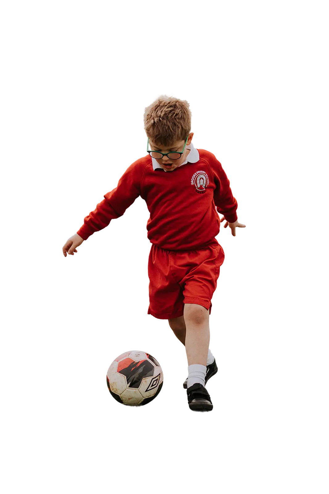  OptimizedImage,Optimized