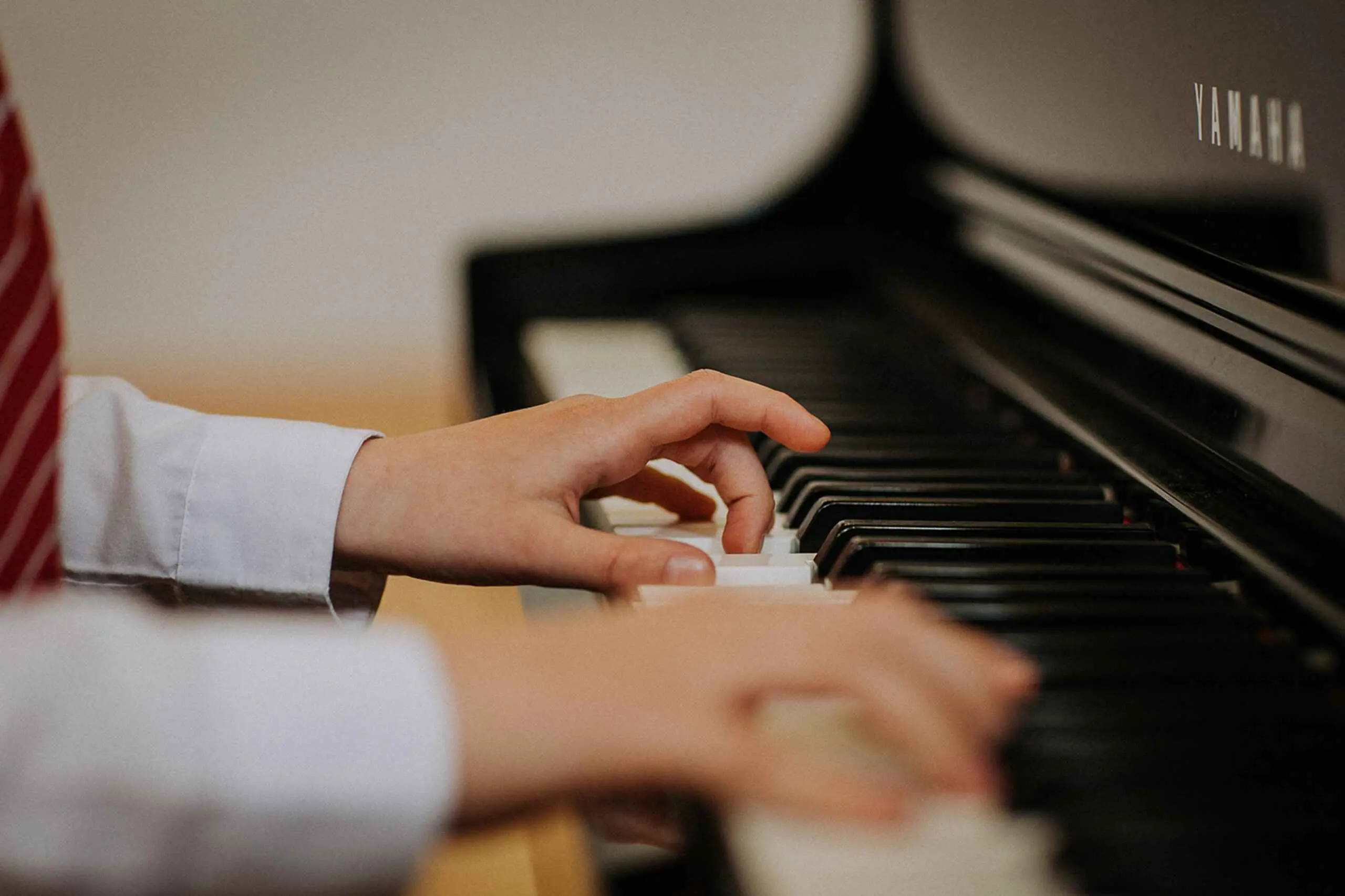  OptimizedImage,Optimized