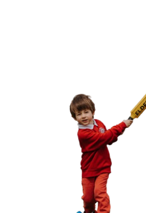  OptimizedImage,Optimized