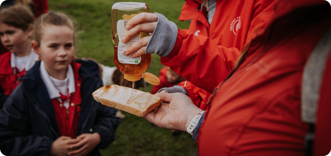 OriginalImage,Original