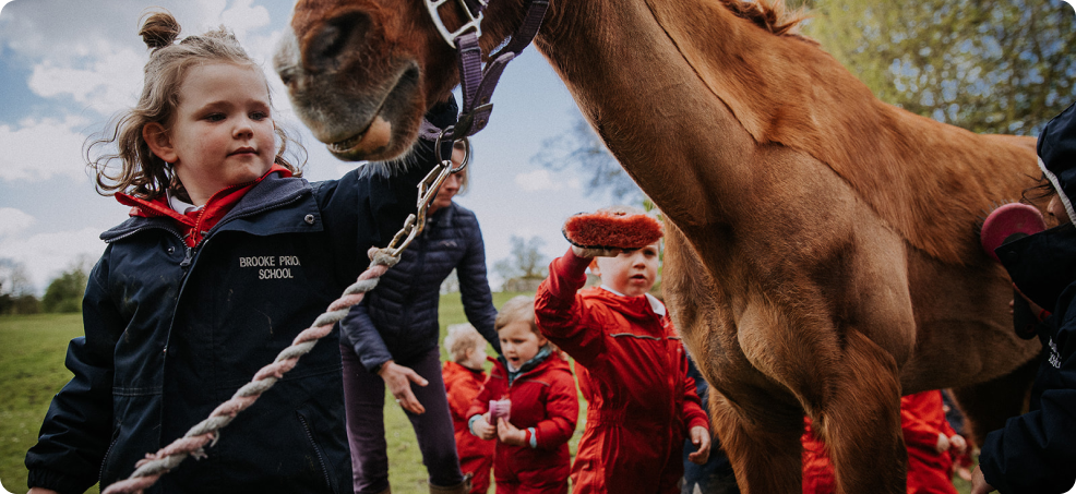 OriginalImage,Original