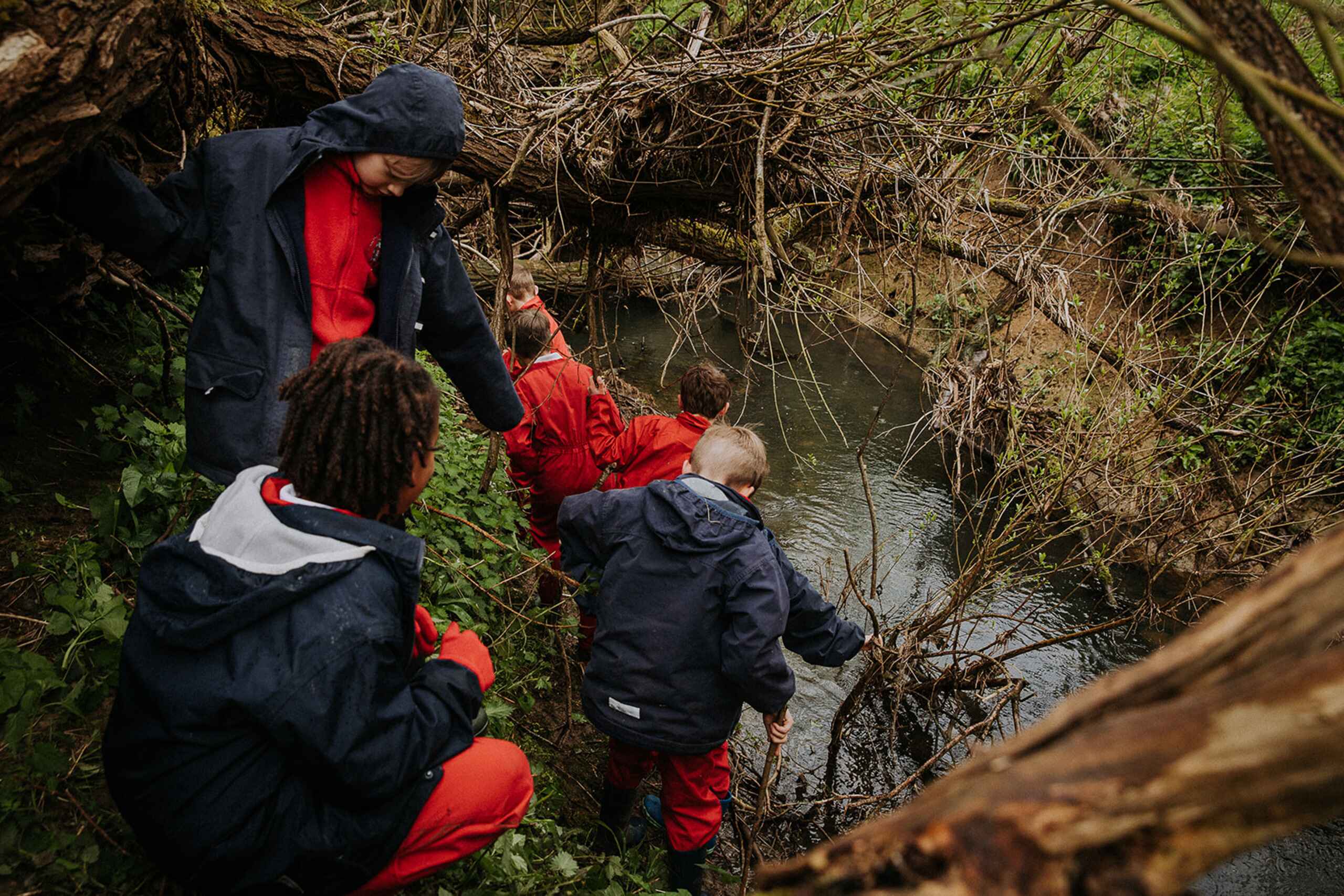 OptimizedImage,Optimized