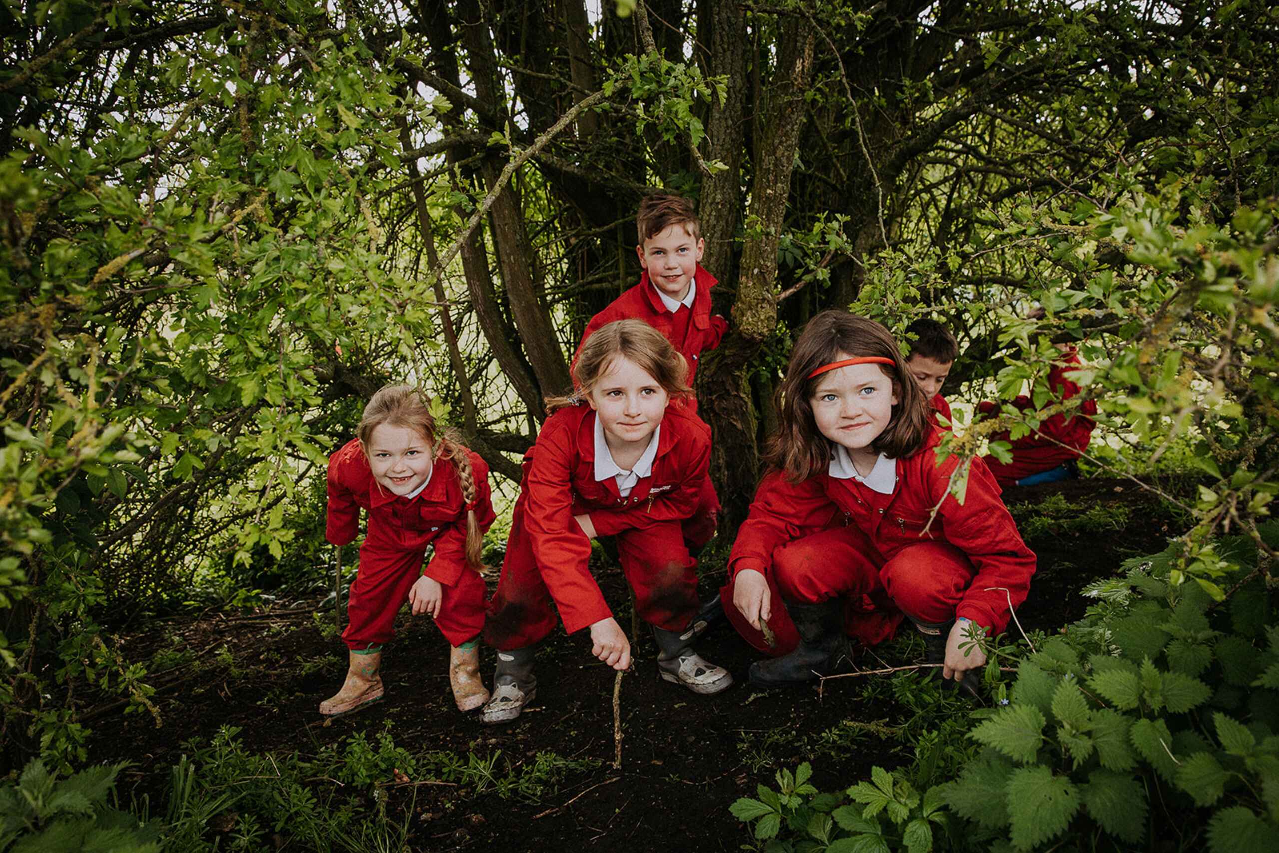  OptimizedImage,Optimized