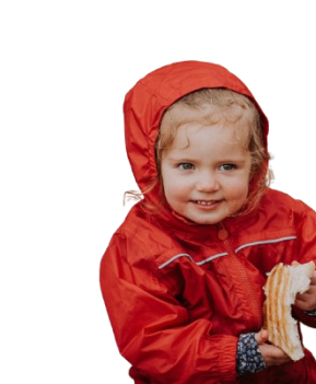  OptimizedImage,Optimized