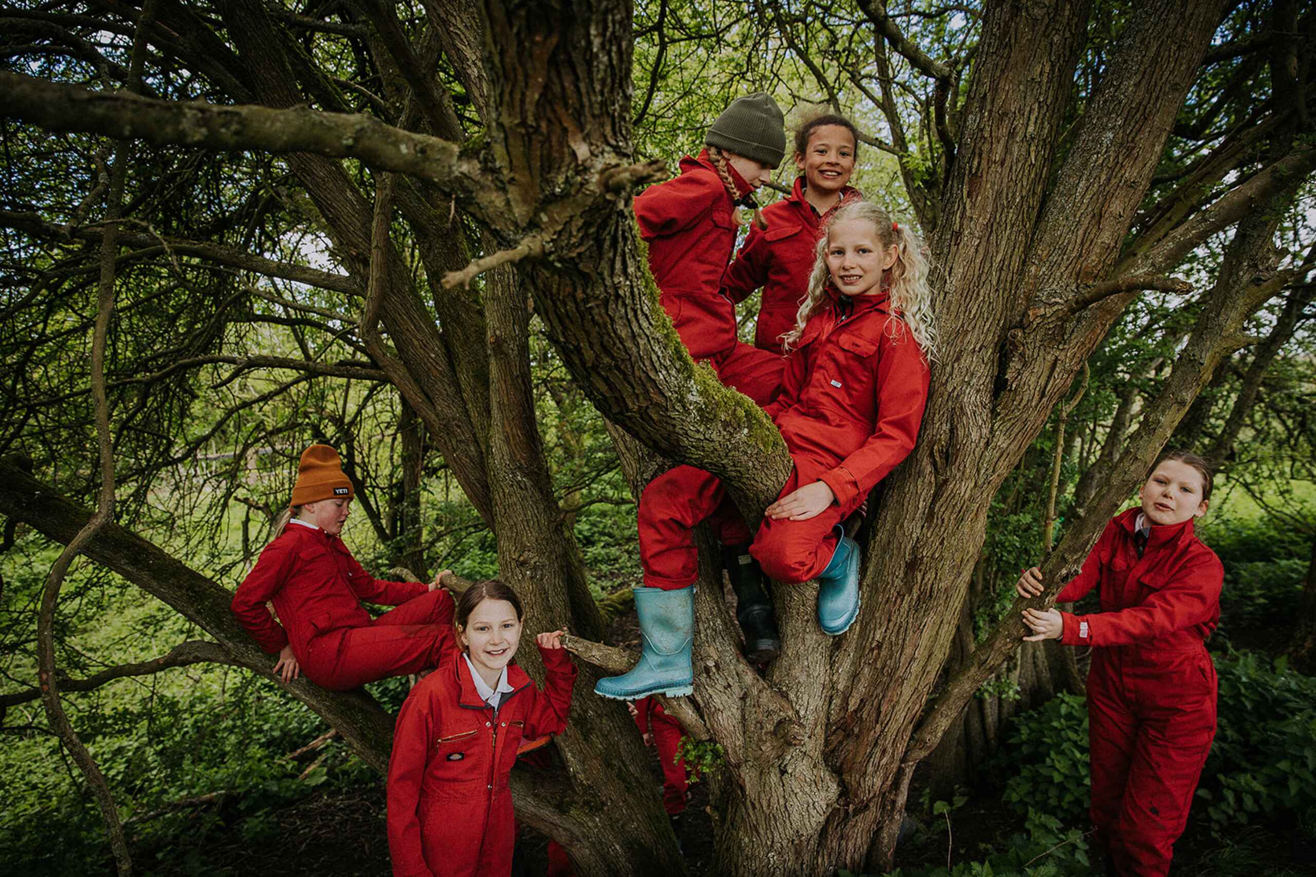 OptimizedImage,Optimized