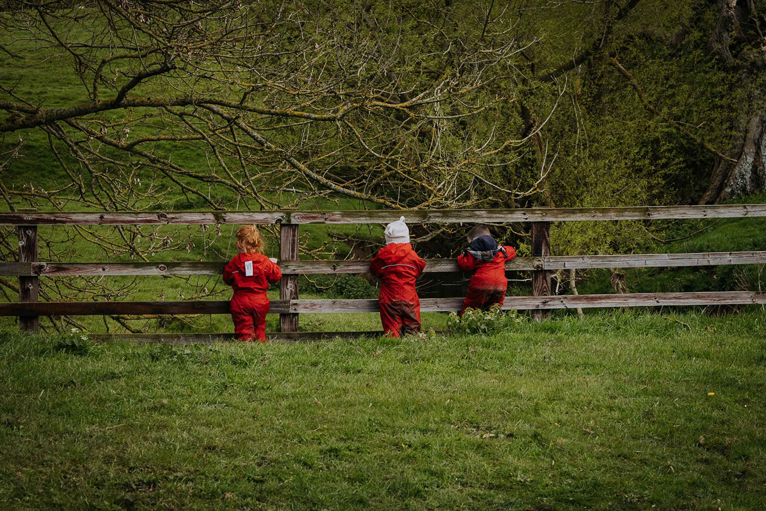  OptimizedImage,Optimized